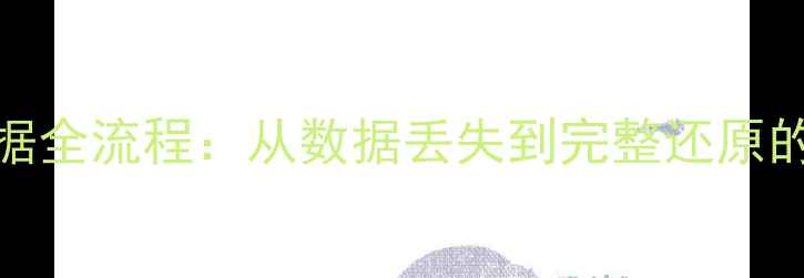 图片 RAID1恢复数据全流程：从数据丢失到完整还原的7步操作指南