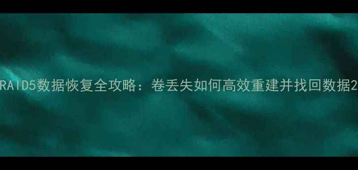 图片 RAID5数据恢复全攻略：卷丢失如何高效重建并找回数据2
