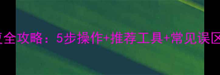 RAID数据恢复全攻略5步操作推荐工具常见误区附案例