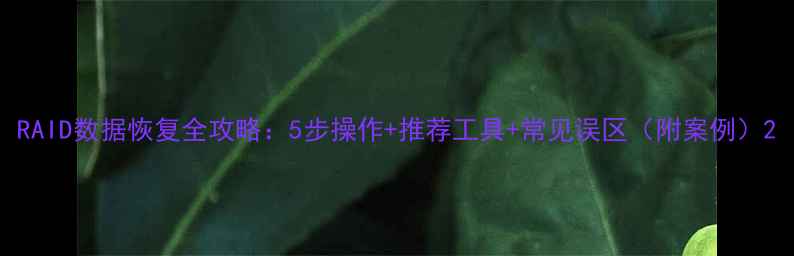 图片 RAID数据恢复全攻略：5步操作+推荐工具+常见误区（附案例）2