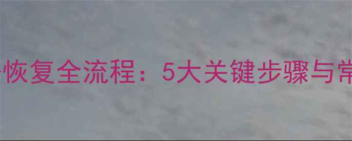 图片 RAID数据恢复全流程：5大关键步骤与常见问题1
