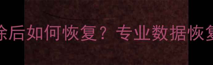 RAID阵列数据删除后如何恢复专业数据恢复指南操作教程