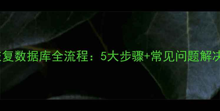 图片 RMAN恢复数据库全流程：5大步骤+常见问题解决指南2