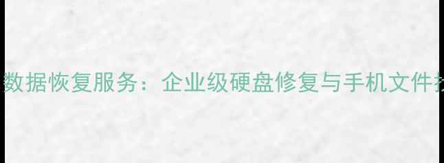 图片 RivalStars数据恢复服务：企业级硬盘修复与手机文件找回全指南2