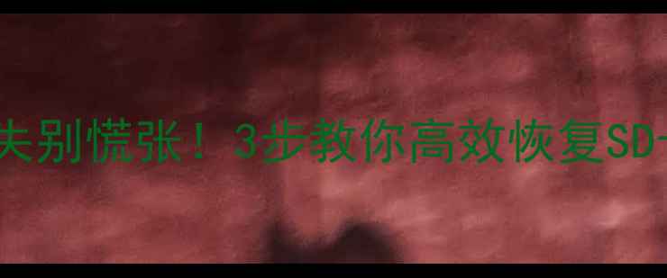 SD卡存储异常数据丢失别慌张3步教你高效恢复SD卡数据附专业指南