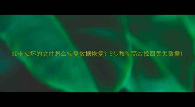 图片 SD卡损坏的文件怎么恢复数据恢复？5步教你高效找回丢失数据1