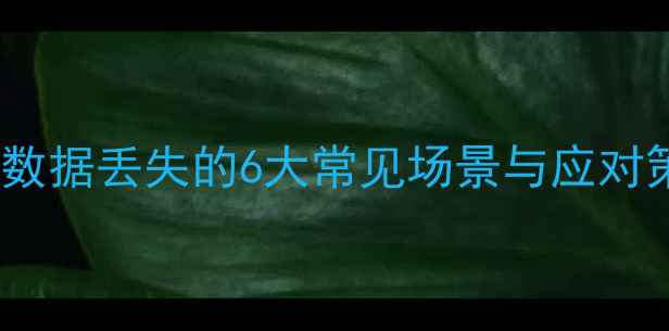 图片 SD卡数据丢失的6大常见场景与应对策略2