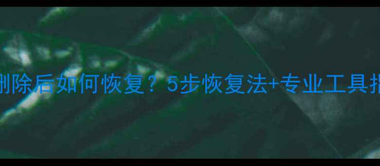 SD卡数据彻底删除后如何恢复5步恢复法专业工具指南附案例