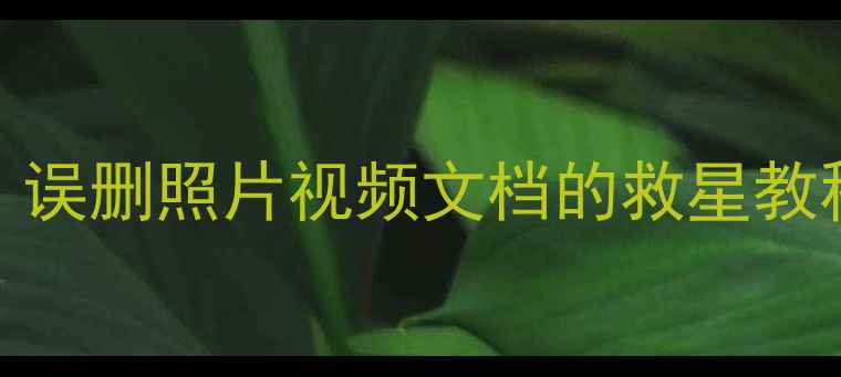 SD卡数据恢复全攻略误删照片视频文档的救星教程附免费工具推荐
