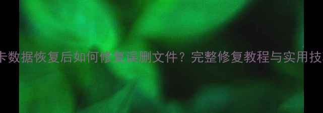 SD卡数据恢复后如何修复误删文件完整修复教程与实用技巧