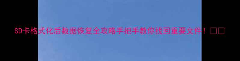 图片 SD卡格式化后数据恢复全攻略手把手教你找回重要文件！💾✨