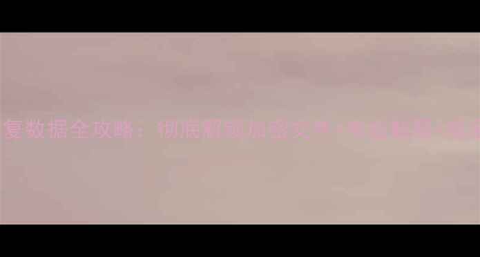 图片 SD卡解密恢复数据全攻略：彻底解锁加密文件+专业教程+常见问题解答2