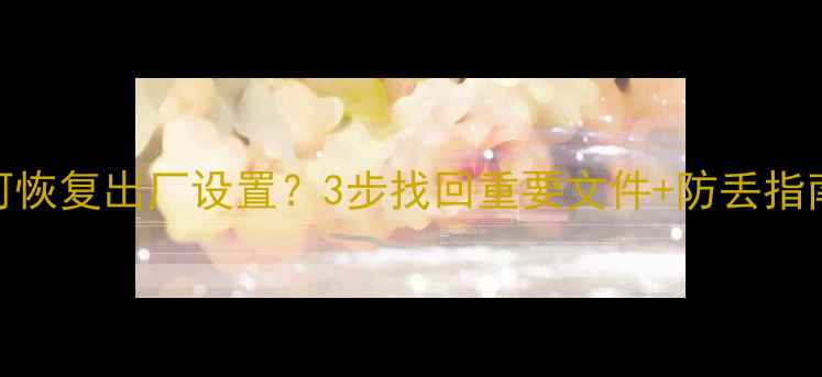 SNOTE删除数据如何恢复出厂设置3步找回重要文件防丢指南附官方教程