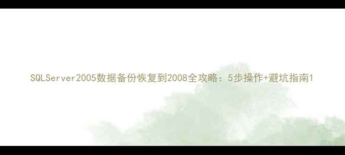 图片 SQLServer2005数据备份恢复到2008全攻略：5步操作+避坑指南1