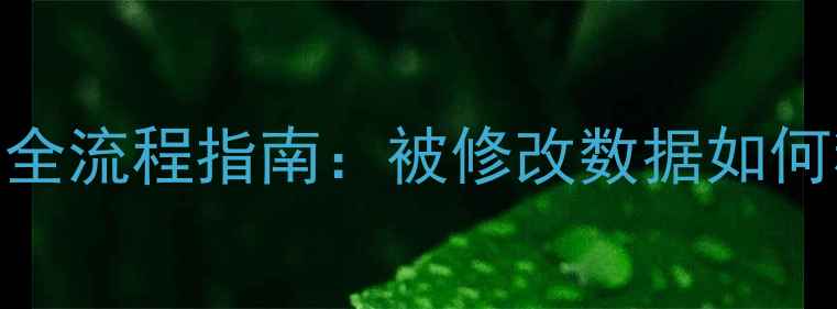 图片 SQLServer数据库恢复全流程指南：被修改数据如何精准还原与风险规避2