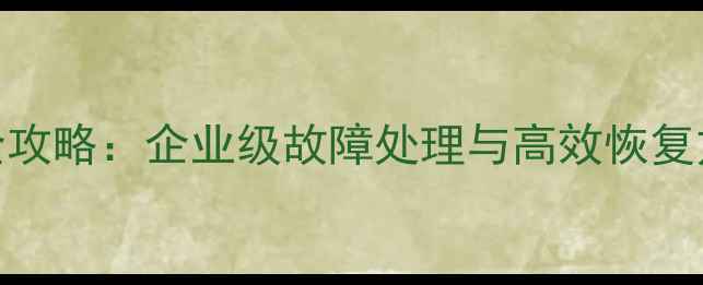 SRX专业版数据恢复全攻略企业级故障处理与高效恢复方案附详细步骤