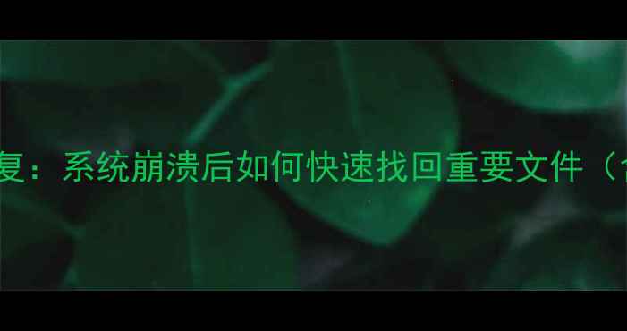 图片 SU自动保存数据恢复：系统崩溃后如何快速找回重要文件（含详细操作指南）1