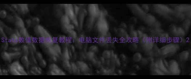 图片 State数值数据恢复教程：电脑文件丢失全攻略（附详细步骤）2