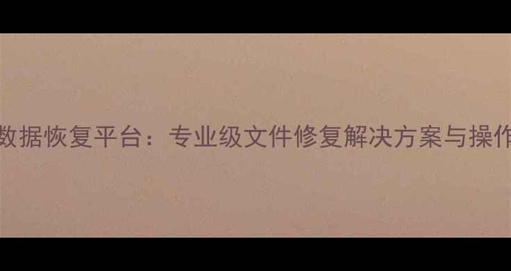 图片 T3000数据恢复平台：专业级文件修复解决方案与操作指南1