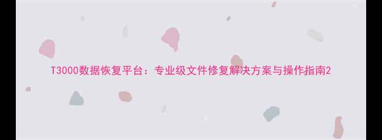 图片 T3000数据恢复平台：专业级文件修复解决方案与操作指南2