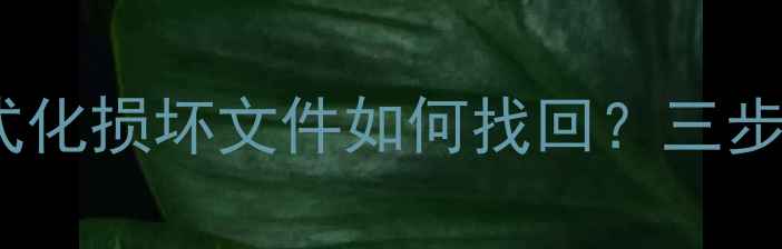图片 TF卡数据恢复全攻略：误删格式化损坏文件如何找回？三步操作+专业工具推荐（附案例）