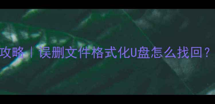 TF卡数据恢复全攻略误删文件格式化U盘怎么找回手把手教你操作
