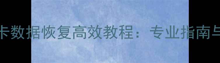 TeamSD卡数据恢复高效教程专业指南与操作全