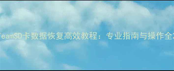 图片 TeamSD卡数据恢复高效教程：专业指南与操作全2
