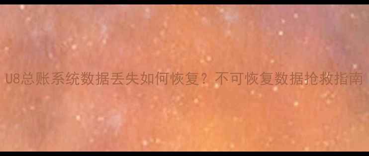 图片 U8总账系统数据丢失如何恢复？不可恢复数据抢救指南