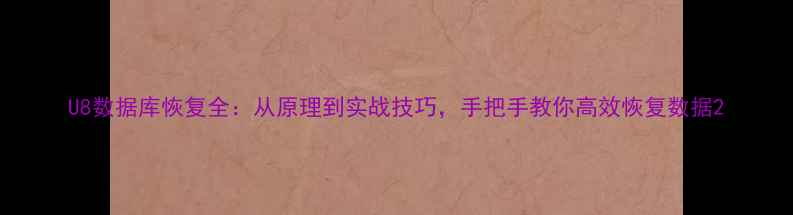 图片 U8数据库恢复全：从原理到实战技巧，手把手教你高效恢复数据2