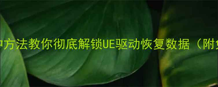 图片 UE恢复大师：3种方法教你彻底解锁UE驱动恢复数据（附免费工具下载）1