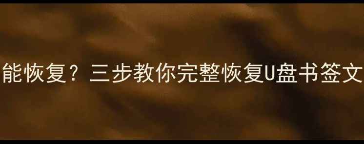图片 USB删除的书签数据能恢复？三步教你完整恢复U盘书签文件（含操作指南）1
