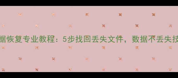 USB数据恢复专业教程5步找回丢失文件数据不丢失技巧全