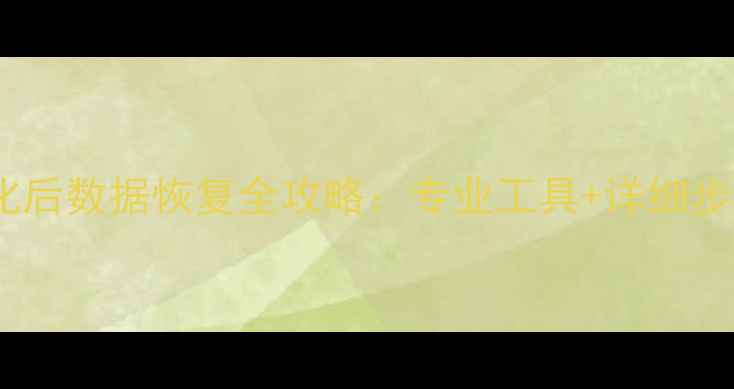 图片 U盘中毒格式化后数据恢复全攻略：专业工具+详细步骤+注意事项2