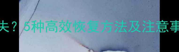 图片 U盘制作启动盘后数据丢失？5种高效恢复方法及注意事项（附专业工具推荐）2