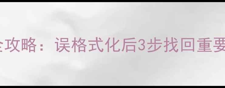 图片 U盘启动盘数据恢复全攻略：误格式化后3步找回重要文件（附详细教程）