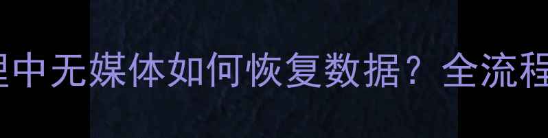 图片 U盘在磁盘管理中无媒体如何恢复数据？全流程数据拯救指南