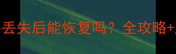 U盘复制文件丢失后能恢复吗全攻略成功率分析