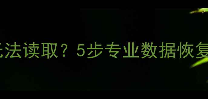 图片 U盘插入电脑不识别无法读取？5步专业数据恢复指南（含详细教程）