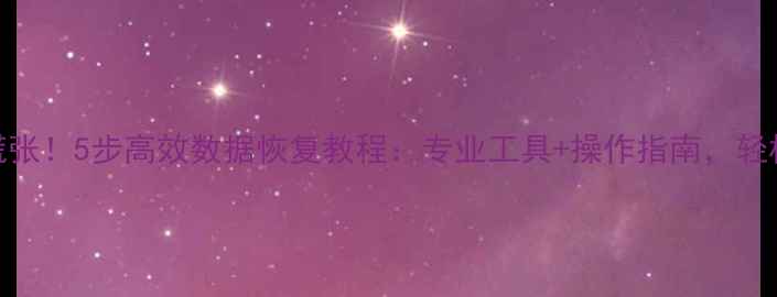 图片 U盘数据丢失别慌张！5步高效数据恢复教程：专业工具+操作指南，轻松找回重要文件2