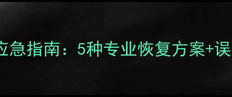 图片 U盘数据丢失应急指南：5种专业恢复方案+误删文件修复全