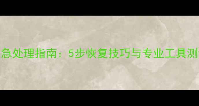 图片 U盘数据丢失紧急处理指南：5步恢复技巧与专业工具测评（最新版）2