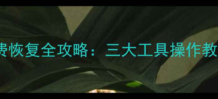 图片 U盘数据删除后免费恢复全攻略：三大工具操作教程+数据保护技巧1