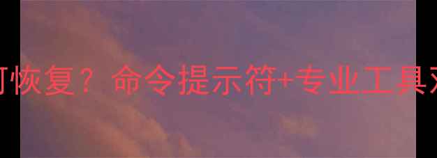 图片 U盘数据库文件丢失如何恢复？命令提示符+专业工具双方案数据修复全攻略2