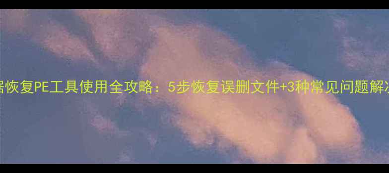 U盘数据恢复PE工具使用全攻略5步恢复误删文件3种常见问题解决方案