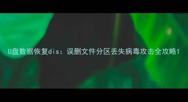 图片 U盘数据恢复dis：误删文件分区丢失病毒攻击全攻略1