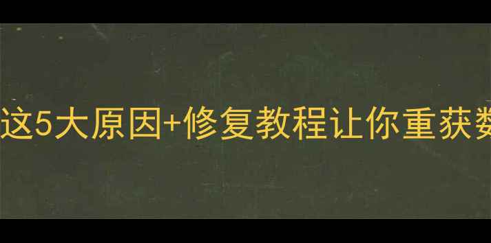 图片 U盘数据恢复不了？这5大原因+修复教程让你重获数据（附工具推荐）