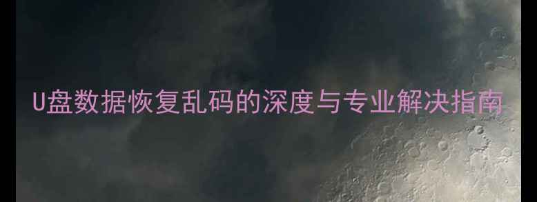 图片 U盘数据恢复乱码的深度与专业解决指南