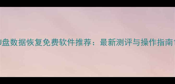 图片 U盘数据恢复免费软件推荐：最新测评与操作指南1