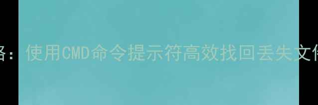 U盘数据恢复全攻略使用CMD命令提示符高效找回丢失文件附详细步骤